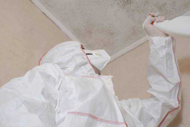Best Mold Testing  in Redgranite, WI