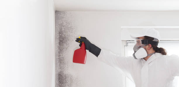 Best Local Mold Removal Service  in Redgranite, WI