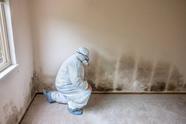 Best Crawl Space Mold Removal  in Redgranite, WI